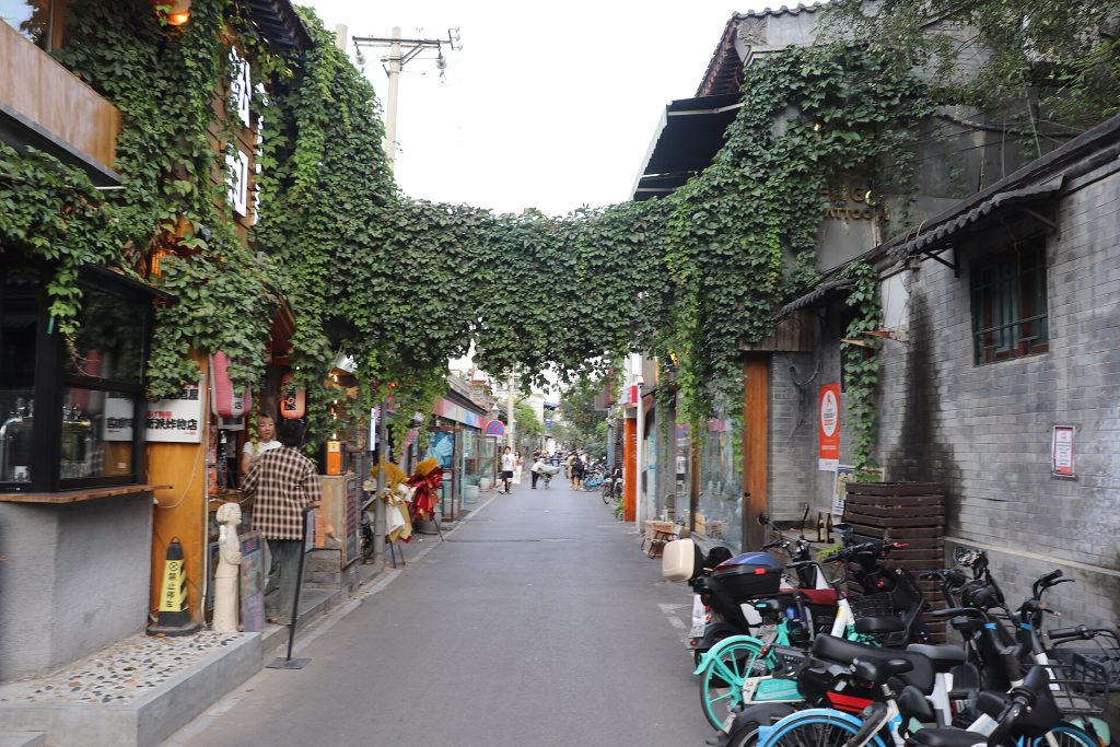 Storefronts and pedestrians along Wudaoying Hutong in Beijing.