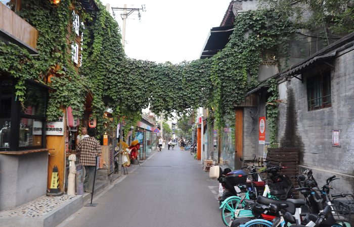 Storefronts and pedestrians along Wudaoying Hutong in Beijing.
