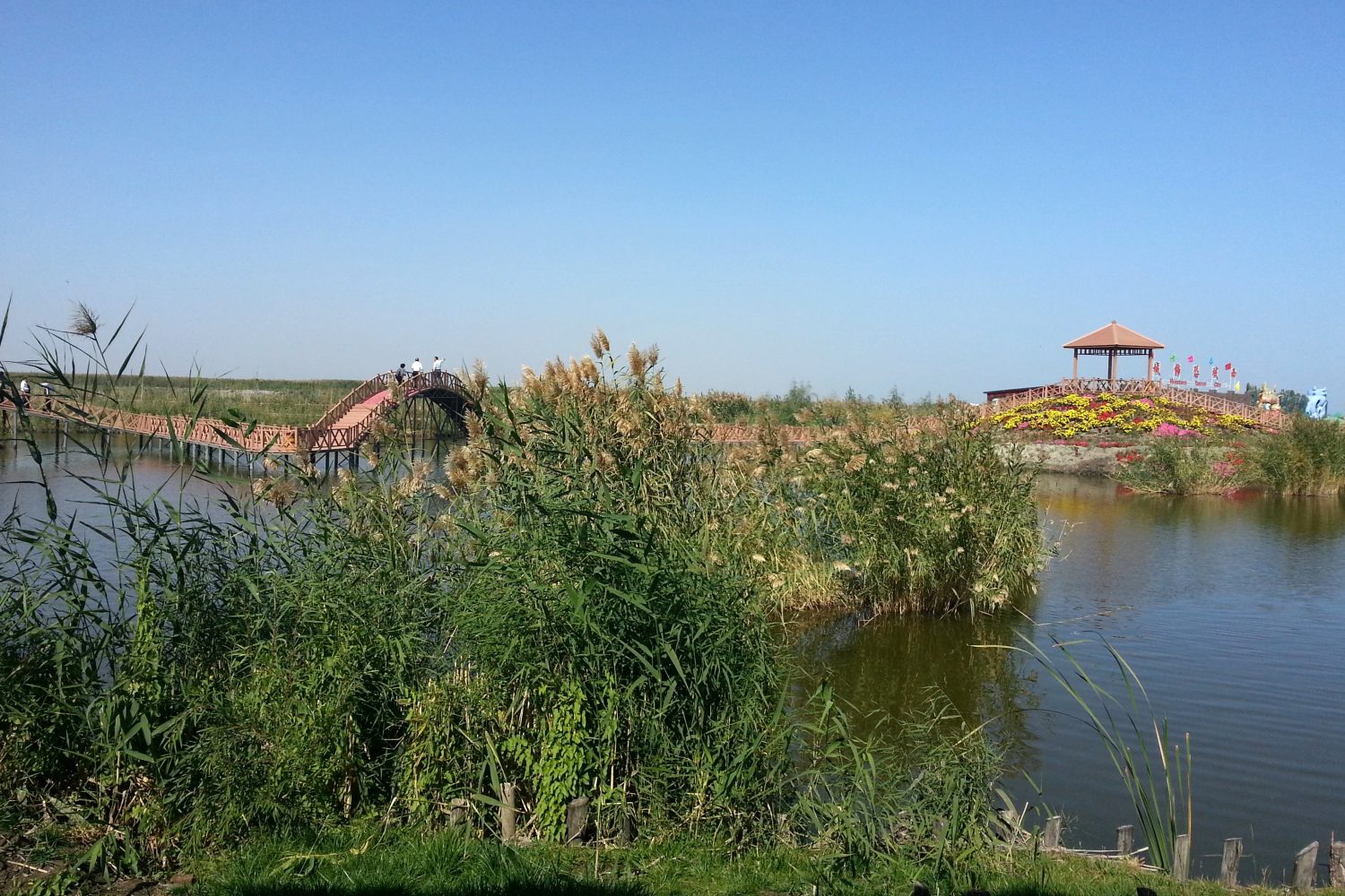 Bosten Lake, Korla