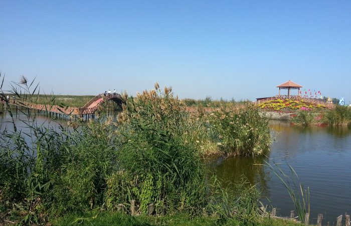 Bosten Lake, Korla
