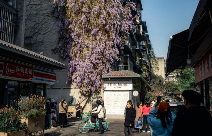 Kuanzhai Alley, Chengdu