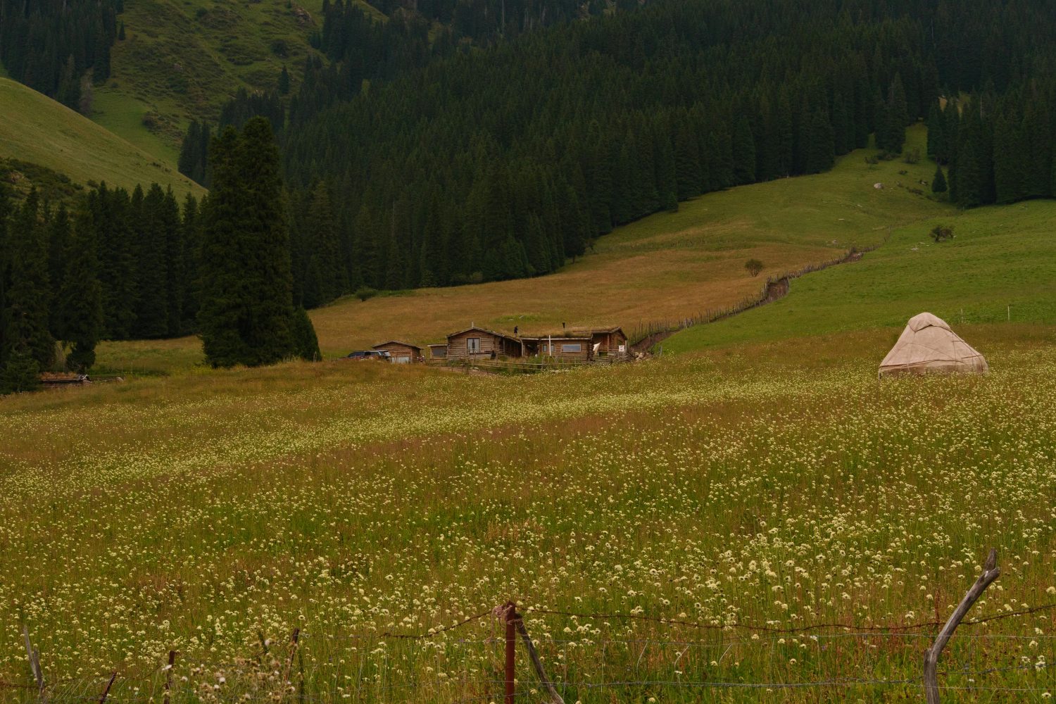 Nalati Grassland, Yili