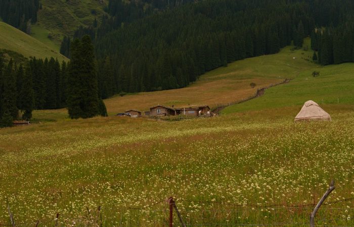 Nalati Grassland, Yili