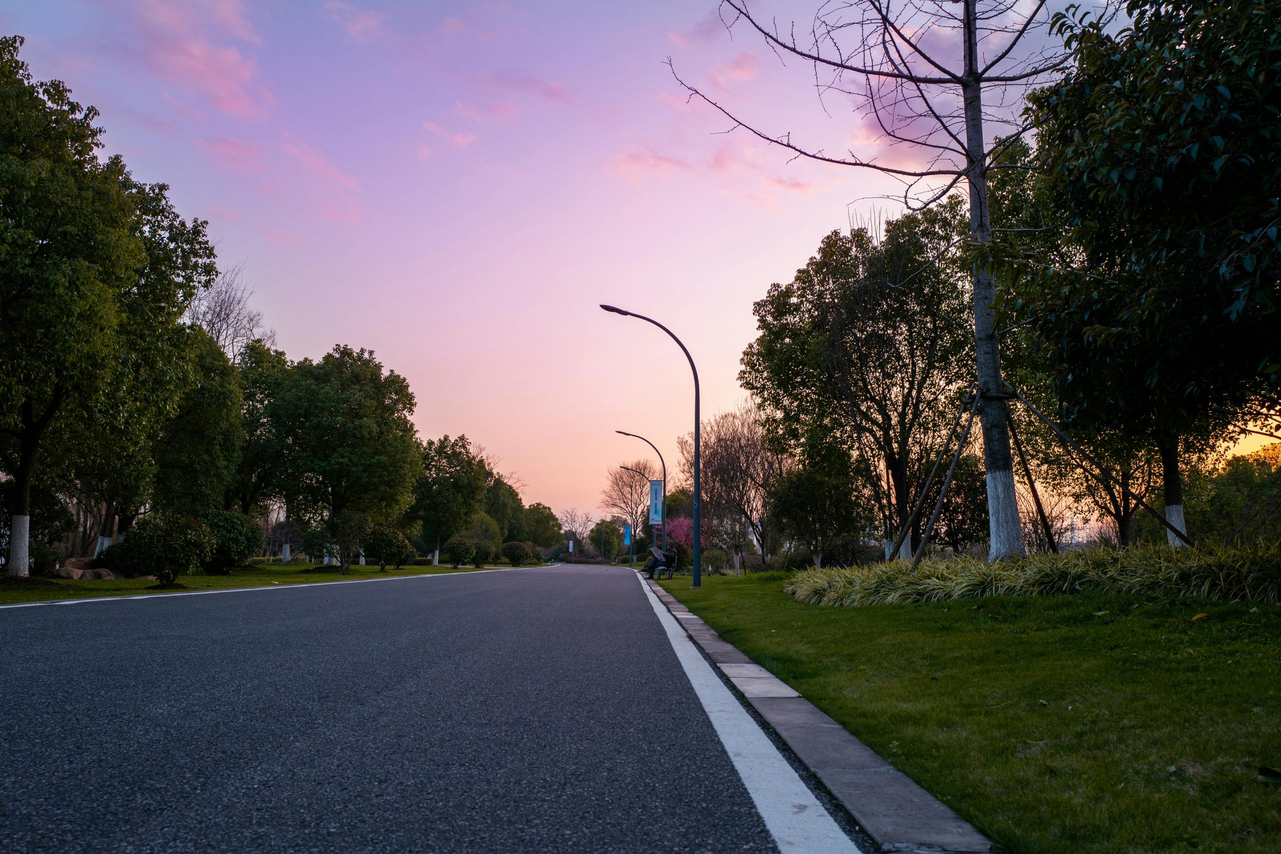 A tree-lined road in Nanjing at sunset with little traffic