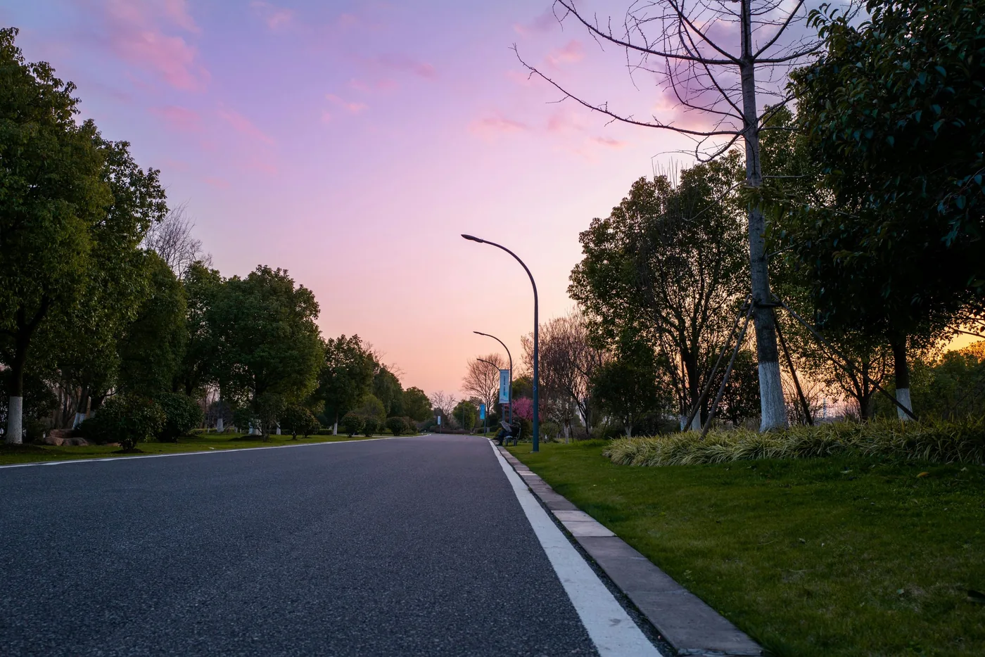 A tree-lined road in Nanjing at sunset with little traffic