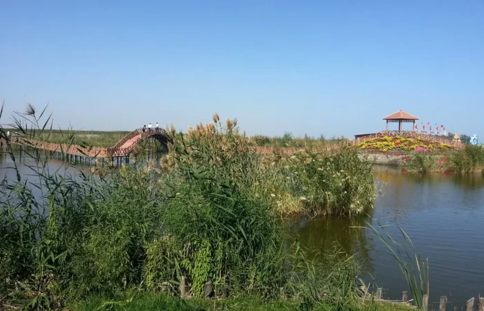 Bosten Lake, Korla